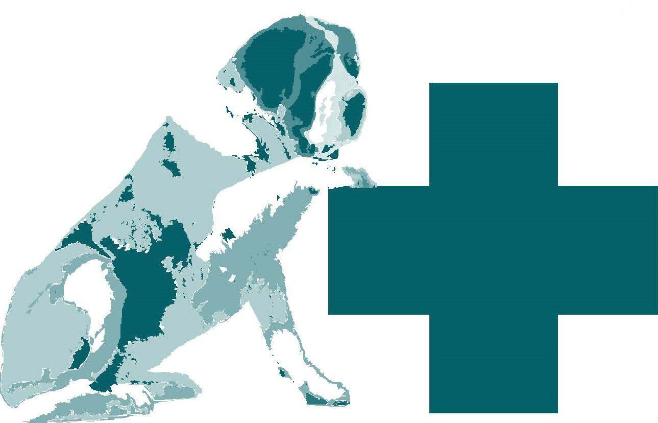 Centro Veterinario Aldaia